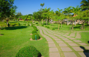 naypyidaw-water-fountain-garden